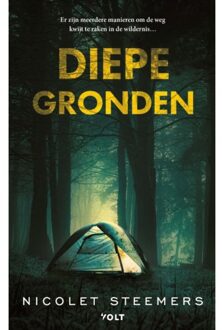 Diepe Gronden - Nicolet Steemers