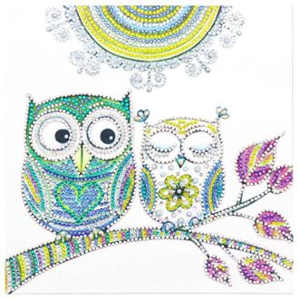 Dier 5D Speciale Vormige Diamant Schilderij Borduurwerk Handwerken Rhinestone Crystal Cross Ambachten Stitch Kit Diy 3