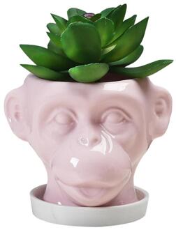 Dier Gezicht Vormige Bloempot Keramische Onregelmatige Tuin Pot Sculptuur Ornamenten Ambachten Vlees Tafel Ingemaakte Vaas Pot Home Decor 2