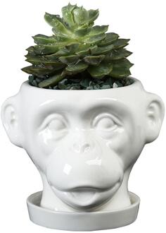 Dier Gezicht Vormige Bloempot Keramische Onregelmatige Tuin Pot Sculptuur Ornamenten Ambachten Vlees Tafel Ingemaakte Vaas Pot Home Decor 3