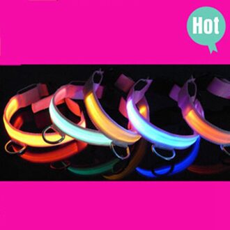 Dierbenodigdheden Huisdier Halsband LED Light Glow Night Veiligheid Knipperen in de Donkere HTL-26 Xl