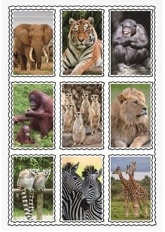 Dieren 3D sticker set - Stickers Multikleur