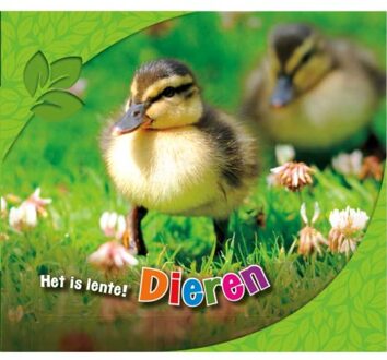 Dieren - Boek Martha E.H. Rustad (9463412190)