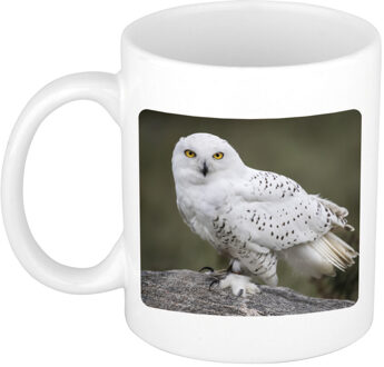 Dieren foto mok sneeuwuil - uilen beker wit 300 ml - feest mokken