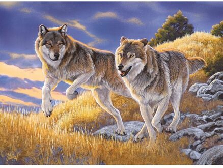 Dieren Gestempeld Borduurpakketten Diy Gedrukt Canvas Borduurwerk Handgemaakte Handwerken 14CT Handwerk Kunst Set Home Decor 46x36cm SZX014