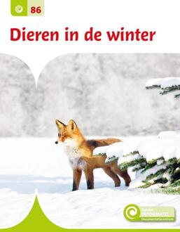 Dieren In De Winter - Junior Informatie