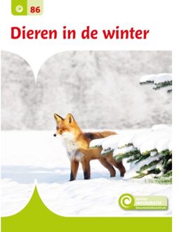 Dieren In De Winter - Junior Informatie