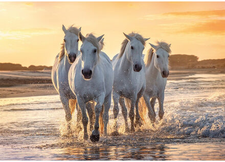 Dieren kinderkamer poster kudde witte paarden in de zee 84 x 59 cm - Posters Multikleur