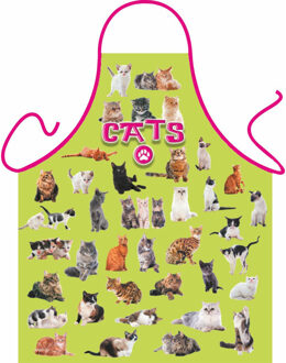 Dieren kookschort katten thema - Action products