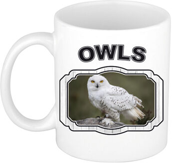 Dieren liefhebber sneeuwuil mok 300 ml - uilen beker - feest mokken Wit