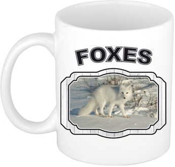 Dieren poolvos beker - foxes/ vossen mok wit 300 ml - feest mokken