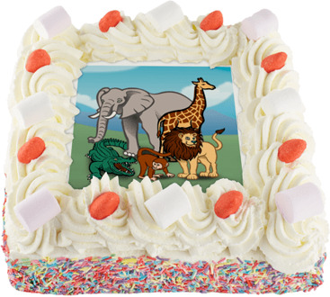 Dieren Slagroomtaart