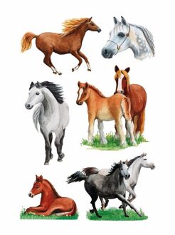 Dieren stickers paarden rassen 3 stuks