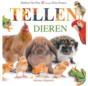 Dieren - Tellen - Matthew van Fleet