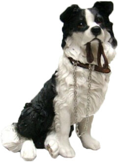 Dierenbeeld Border collie hond - 18 cm - polystone - hondenbeeldje