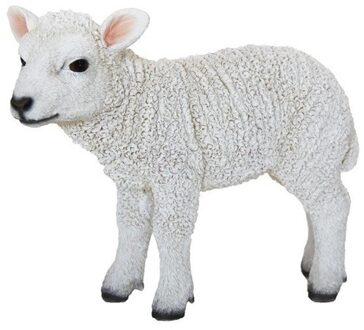 Dierenbeeldje Lammetje - staand - polystone - 21 x 26 x 10 cm - buiten- en binnendecoratie Wit