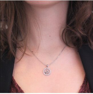 Dierenriem hangers - Oostenrijks kristal Wit Zilver - One Size