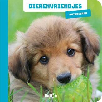 Dierenvriendjes: Huisdieren - 000