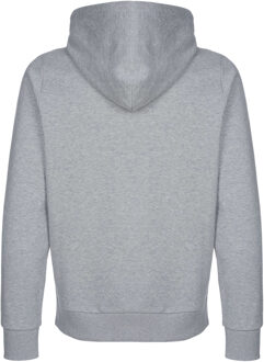 Diesel Diesel-trui Grijs - L