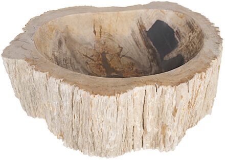 Differnz Fossil waskom 45x12cm hout Créme 36.102.16 Créme (Crème) mat