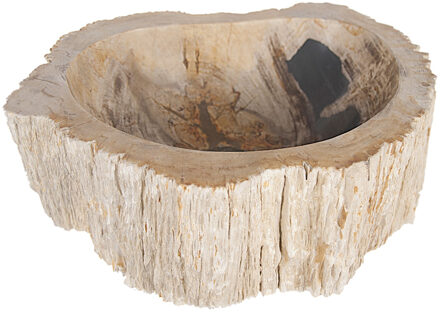 Differnz Fossil waskom 45x12cm hout Créme 36.102.16 Créme (Crème) mat