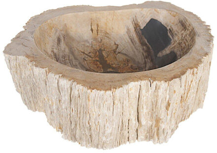 Differnz Fossil waskom 45x12cm hout Créme 36.102.16 Créme (Crème)