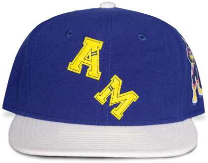 Difuzed My Hero Academia Snapback All Might