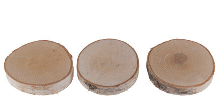 Dijk Natural Collections berkenhouten schijfjes, 3 stuks