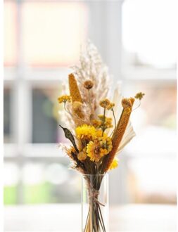 Dijk Natural Collections Brievenbuspakket Droogbloemen 36x3cm multi