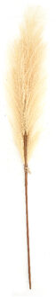 Dijk Natural Collections Kunstbloem Pluim 77x8x3cm beige