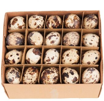 Dijk Natural Collections kwarteleitjes, 60 stuks