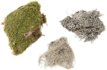 Dijk Natural Collections mos mix, 100 g