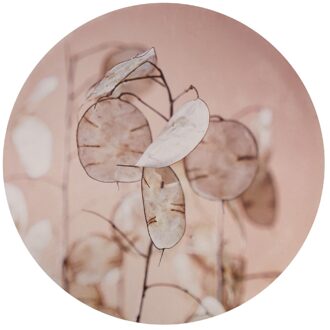 Dijk Natural Collections Muurcirkel mdf Ø58x2.5cm dollar blad beige