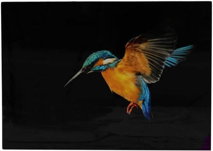 Dijk Natural Collections Muurkunst ijsvogel canvas 58x2,5x78cm multi