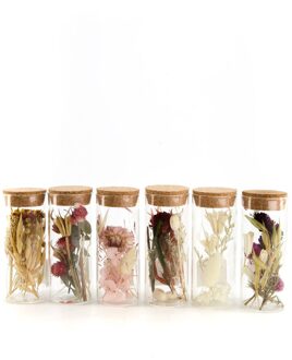 Dijk Natural Collections Pot glas met droogbloemen Ø5x12.5cm transparant