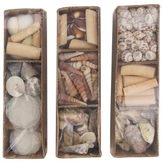 Dijk Natural Collections Schelpen in tray 28x8x8cm