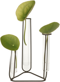 Dijk Natural Collections Stekvaasje/bloemenvaasje reageerbuis model - D12 x H22 cm - op voet van metaal