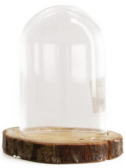 Dijk Natural Collections stolp - glas - houten bruin plateau - D13 x H17,5 cm - Decoratieve stolpen Transparant