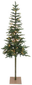 Dijk Natural Collections Wintervalley Trees - Kunstkerstboom Fredrik met LED verlichting - 60x150cm - Groen