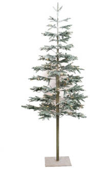 Dijk Natural Collections Wintervalley Trees - Kunstkerstboom Gustaf met LED verlichting- 80x180cm - Besneeuwd Wit