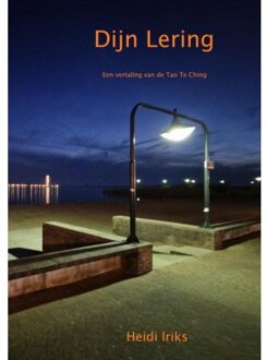 Dijn Lering - Boek Heidi Iriks (9463426868)