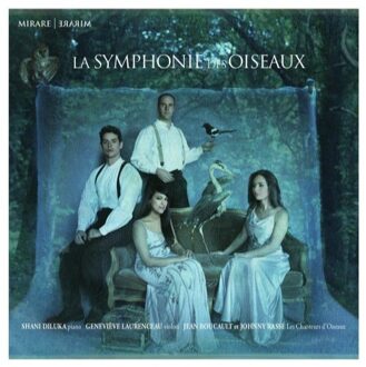 Diluka & Laurenceau & Les Oiseaux - Birds Symphony