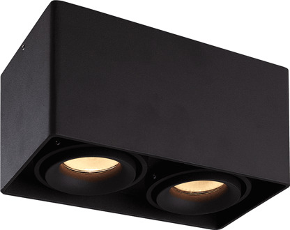 Dimbare LED opbouw plafondspot Esto Zwart 2 lichts IP20 kantelbaar