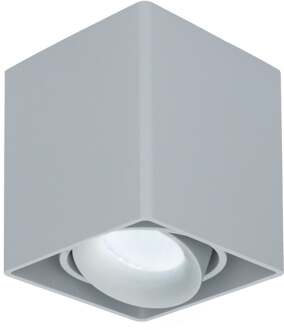 Dimbare LED Opbouwspot plafond Esto Grijs incl. GU10 spot 5W 6000K IP20 kantelbaar