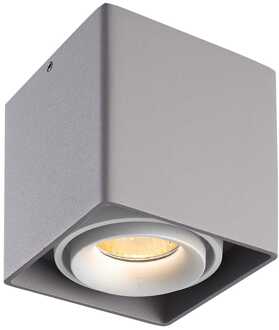 Dimbare LED Opbouwspot plafond Esto Grijs met witte afdekring IP20 kantelbaar excl. GU10 lichtbron