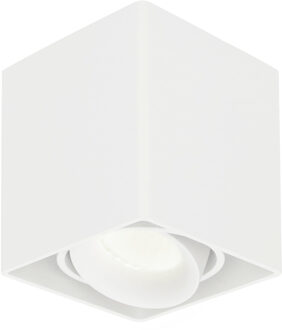 Dimbare LED Opbouwspot plafond Esto Wit incl. GU10 spot 5W 4000K IP20 kantelbaar
