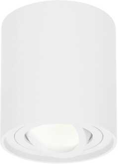 Dimbare LED Opbouwspot Ray Wit 5W 4000K IP20 kantelbaar