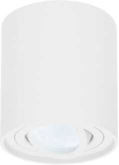 Dimbare LED Opbouwspot Ray Wit 5W 6000K IP20 kantelbaar