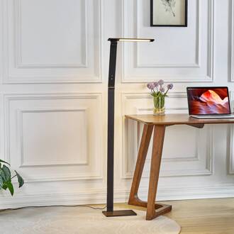 Dimbare LED vloerlamp Salome, lichtkleur variabel zwart