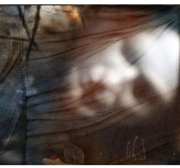 Din Brad - Dor -Digi